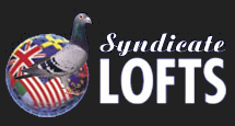 Syndicate Lofts Logo